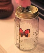 【瞎拼有理】 	 療傷舒壓聖品~Butterfly不思議超蝶聲控蝴蝶飛舞罐會飛的瓶中蝶